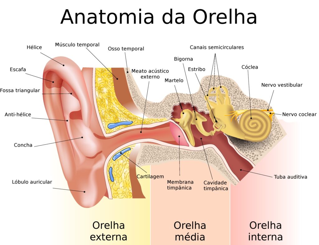 Otoplastia